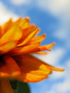 MRodenkirchen_image_3